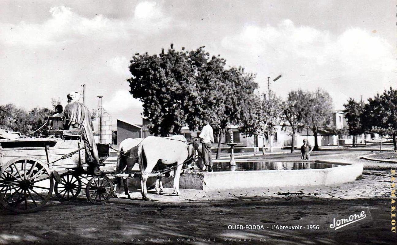 Oued-Fodda - Abreuvoir - 1956.jpg